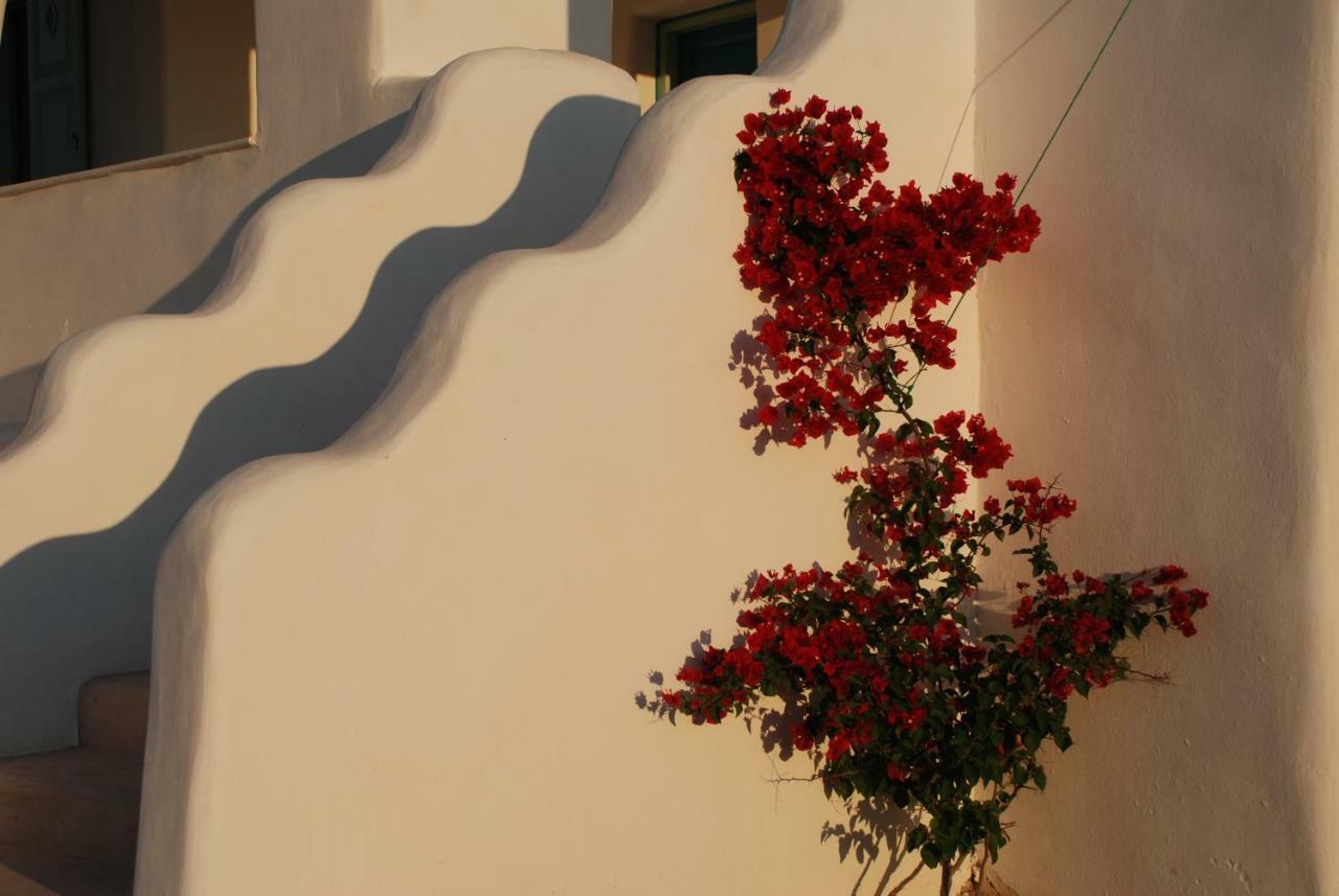 Villa Kampos Naousa-Marpisa Ambelas Exterior foto